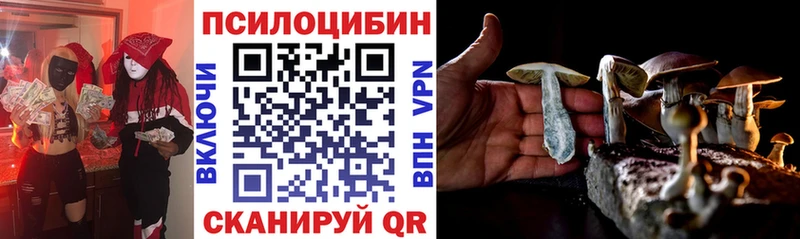 Галлюциногенные грибы Psilocybine cubensis  мега как зайти  Новоаннинский 